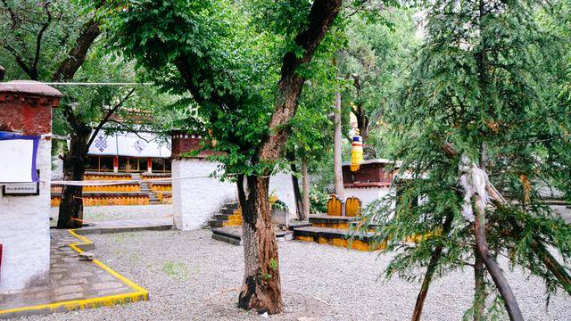 拉萨色拉寺,雨天参观也很美20