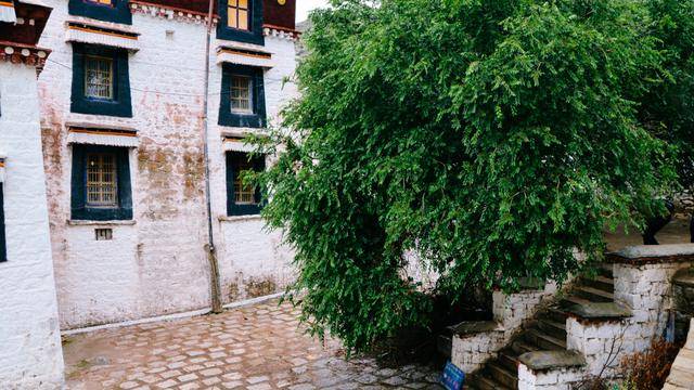 拉萨色拉寺,雨天参观也很美37
