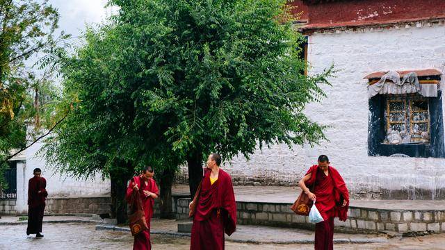 拉萨色拉寺,雨天参观也很美38