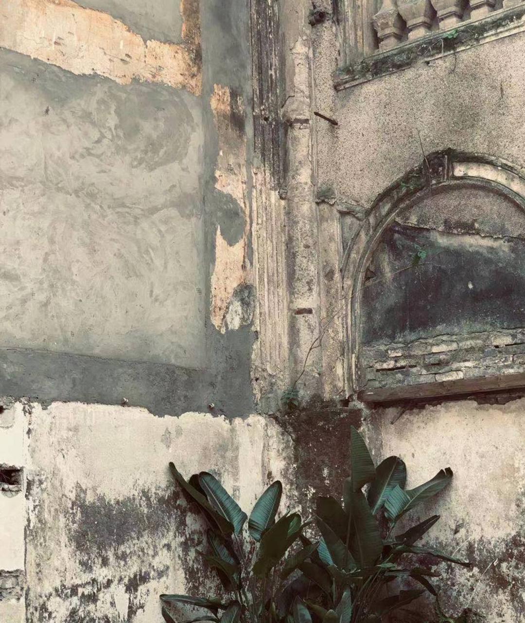 重庆春季出游攻略:迎来新生的山城巷,荒野花园里游客络绎不绝7