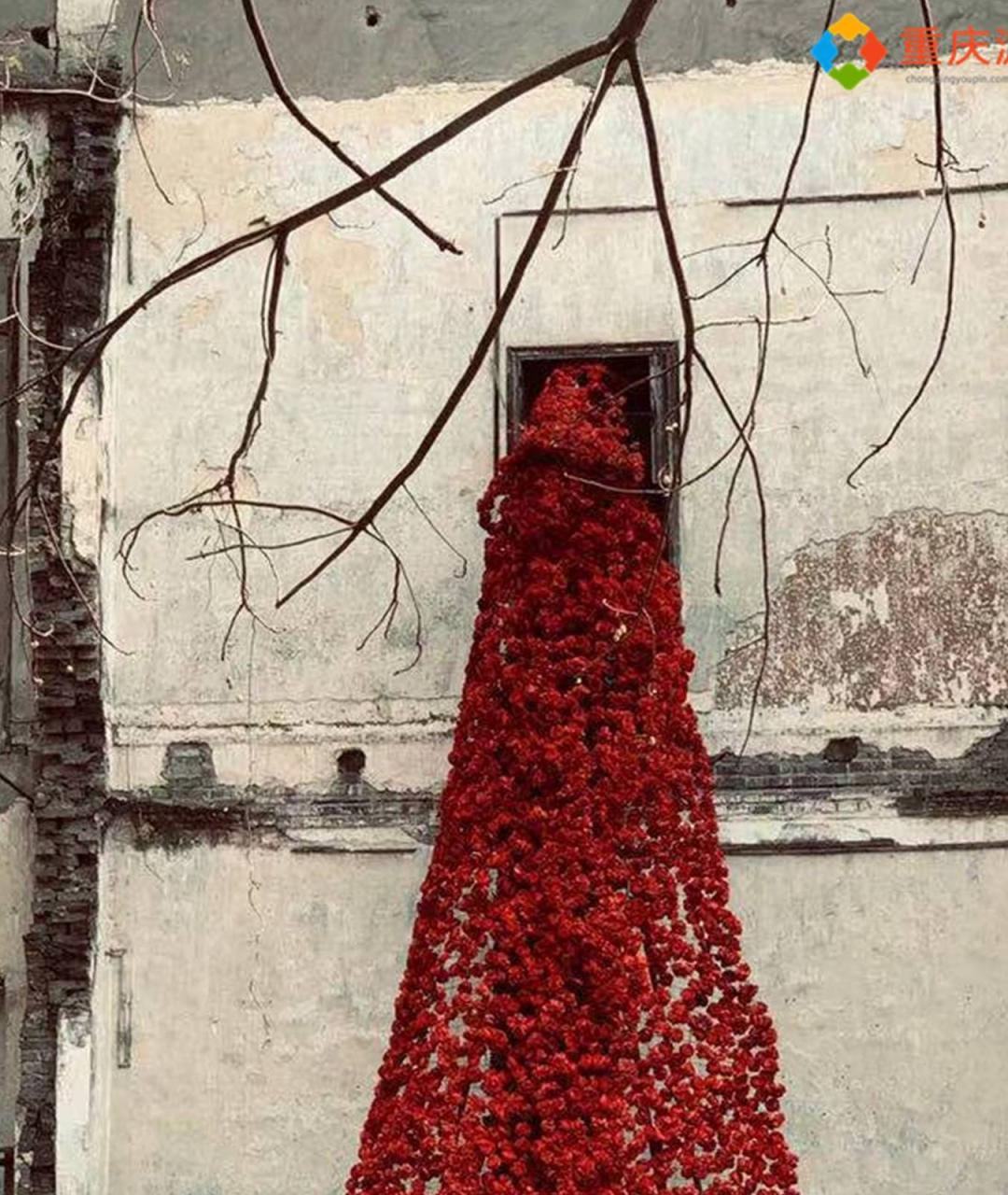 重庆春季出游攻略:迎来新生的山城巷,荒野花园里游客络绎不绝8