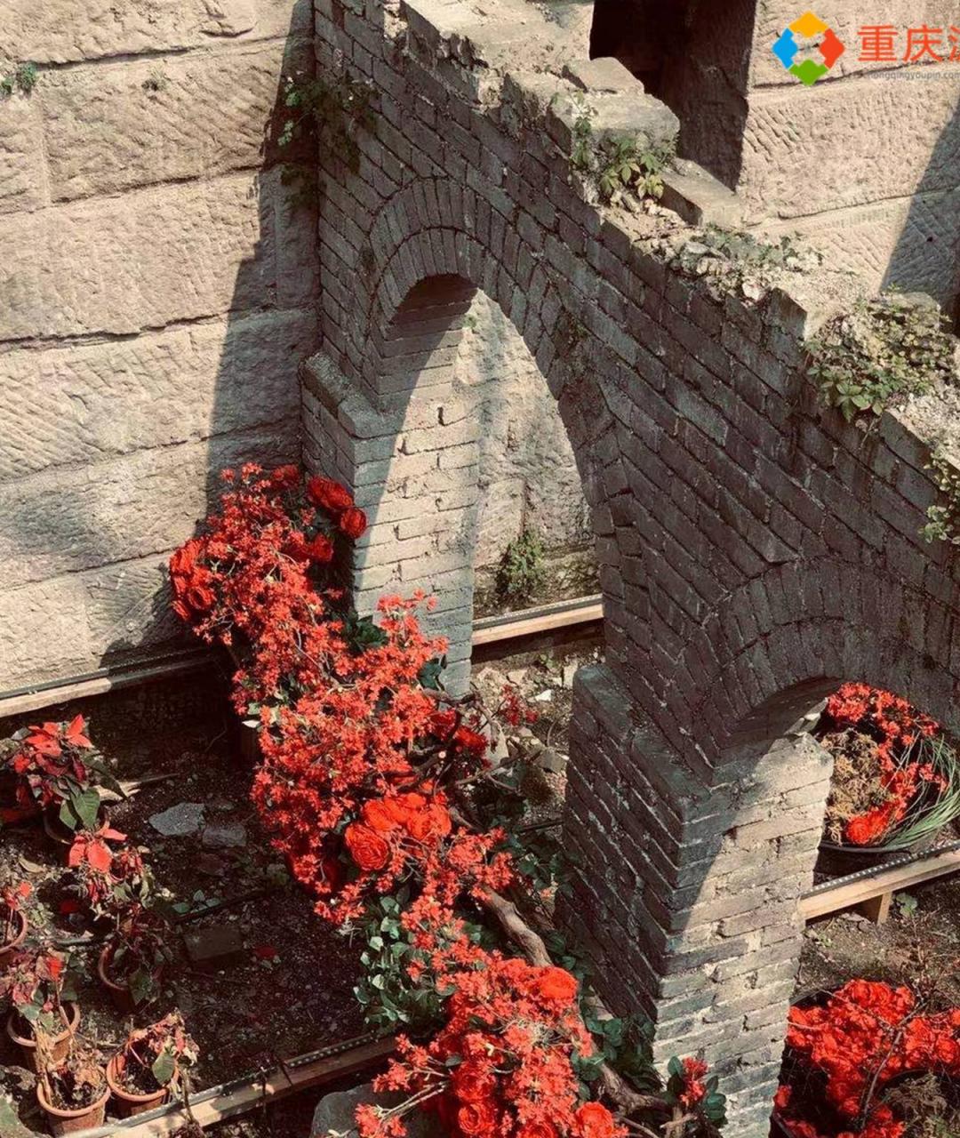 重庆春季出游攻略:迎来新生的山城巷,荒野花园里游客络绎不绝9