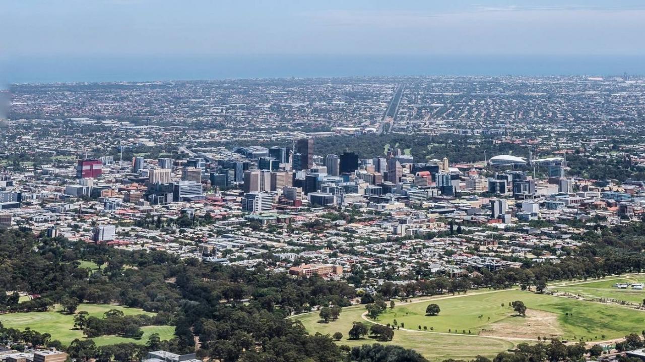 袋鼠在澳洲不算保护动物?自驾游袋鼠岛,路边常见被撞死的袋鼠1