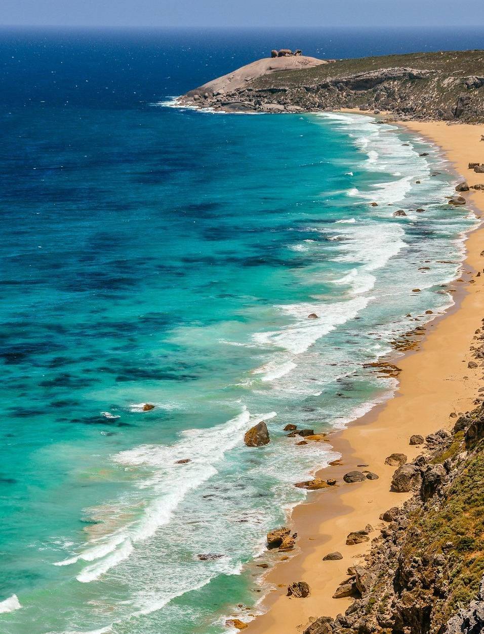 袋鼠在澳洲不算保护动物?自驾游袋鼠岛,路边常见被撞死的袋鼠2