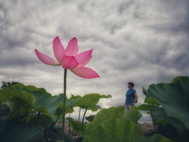 懂得欣赏和包容别人,你的人生才能越走越远,越走越顺1