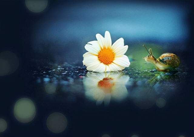 懂得欣赏和包容别人,你的人生才能越走越远,越走越顺2