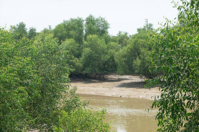 在中山这个地方,竟然还可以吃到这么美味的海鲜,你想来看看吗?1