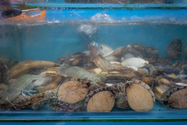 在中山这个地方,竟然还可以吃到这么美味的海鲜,你想来看看吗?3