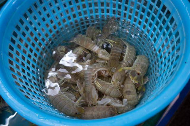 在中山这个地方,竟然还可以吃到这么美味的海鲜,你想来看看吗?4