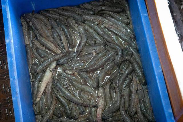 在中山这个地方,竟然还可以吃到这么美味的海鲜,你想来看看吗?5