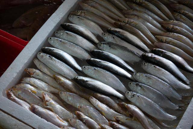 在中山这个地方,竟然还可以吃到这么美味的海鲜,你想来看看吗?6