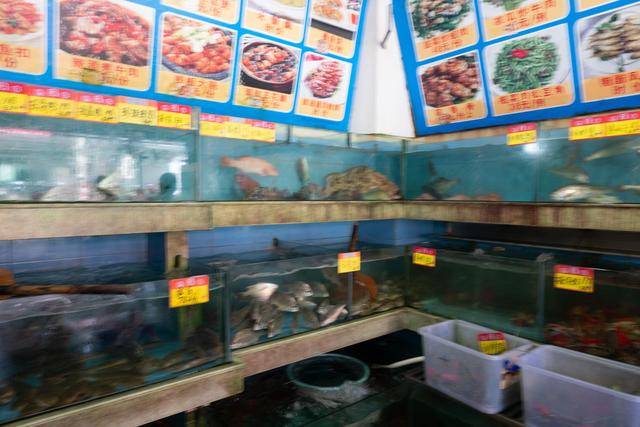 在中山这个地方,竟然还可以吃到这么美味的海鲜,你想来看看吗?7