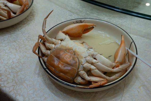 在中山这个地方,竟然还可以吃到这么美味的海鲜,你想来看看吗?21