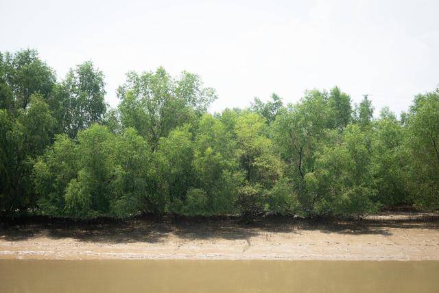 在中山这个地方,竟然还可以吃到这么美味的海鲜,你想来看看吗?24