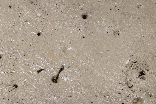 在中山这个地方,竟然还可以吃到这么美味的海鲜,你想来看看吗?25