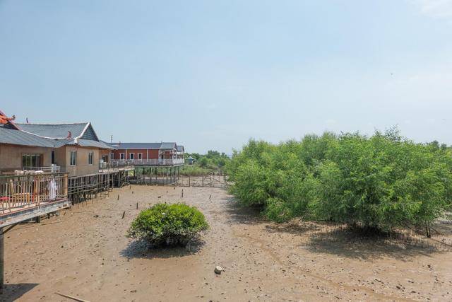 在中山这个地方,竟然还可以吃到这么美味的海鲜,你想来看看吗?27