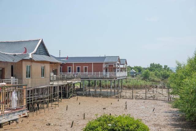 在中山这个地方,竟然还可以吃到这么美味的海鲜,你想来看看吗?28