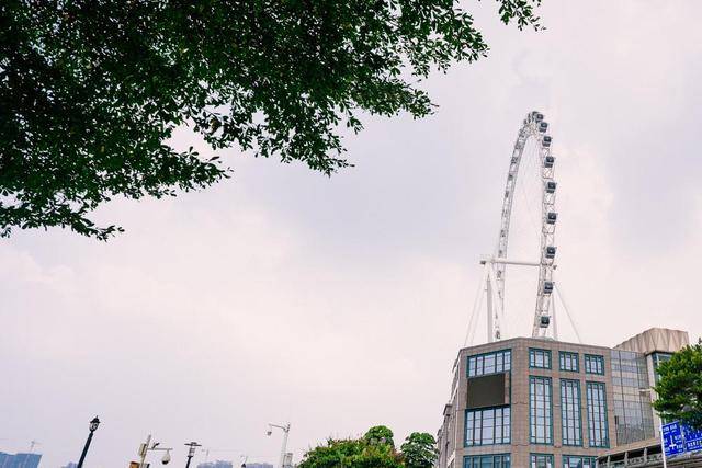 中山古董车博物馆,对车感兴趣的朋友们,快来见世面了1