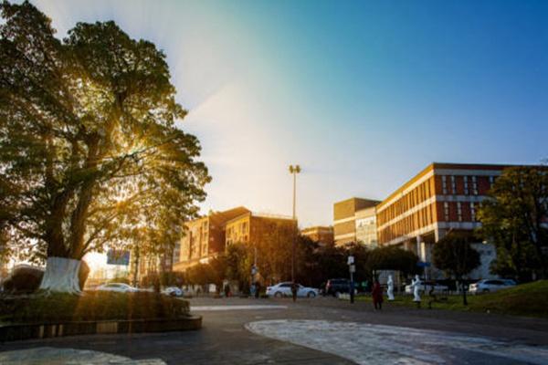 都江堰春天附近哪里好玩?这些免费踏青春游的地方值得打卡2