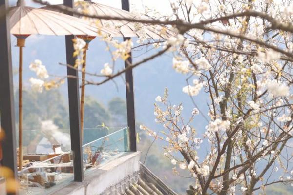 都江堰春天附近哪里好玩?这些免费踏青春游的地方值得打卡7