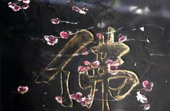 天台宗祖庭国清寺：首任方丈灌顶大师亲手载下的隋梅1400多岁了1