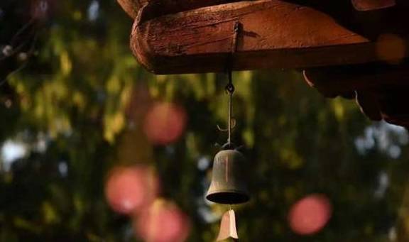 天台宗祖庭国清寺：首任方丈灌顶大师亲手载下的隋梅1400多岁了5