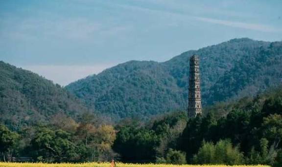 天台宗祖庭国清寺：首任方丈灌顶大师亲手载下的隋梅1400多岁了6