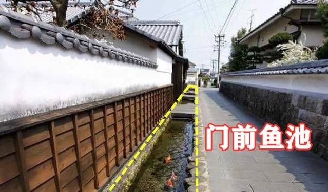 日本门前一排50公分宽的排水渠,里面清澈种花又养鱼,赏心悦目1