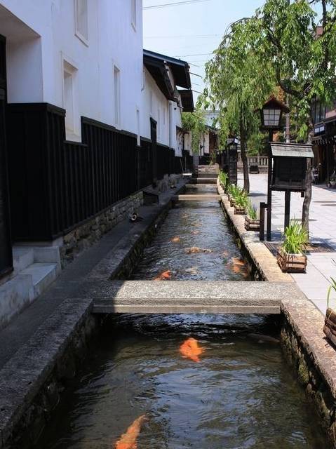 日本门前一排50公分宽的排水渠,里面清澈种花又养鱼,赏心悦目2