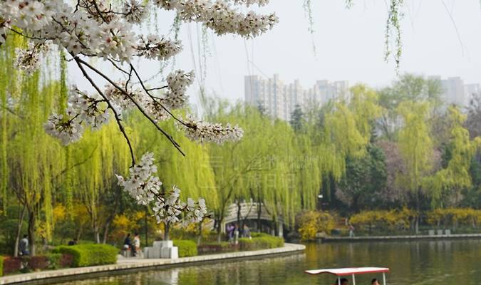 西安城西春游好去处!能逛能玩能遛娃,适合全家休闲游,地铁直达1