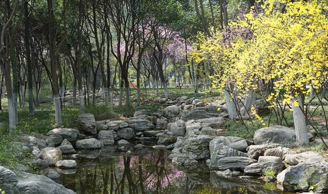 西安城西春游好去处!能逛能玩能遛娃,适合全家休闲游,地铁直达4