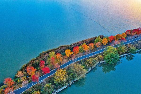 武汉哪里适合骑行 最美风景绿道3