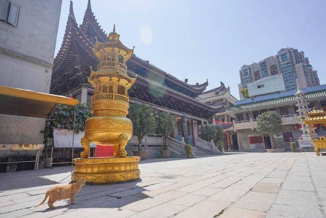 广州小众寺庙,祈福好去处,不收门票,古风满满14