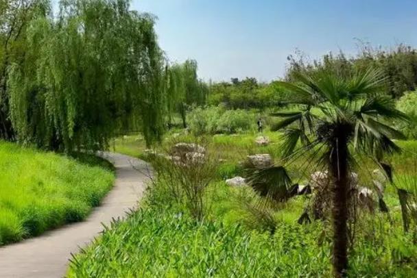 长沙踏青适合拍照的地方有哪些2