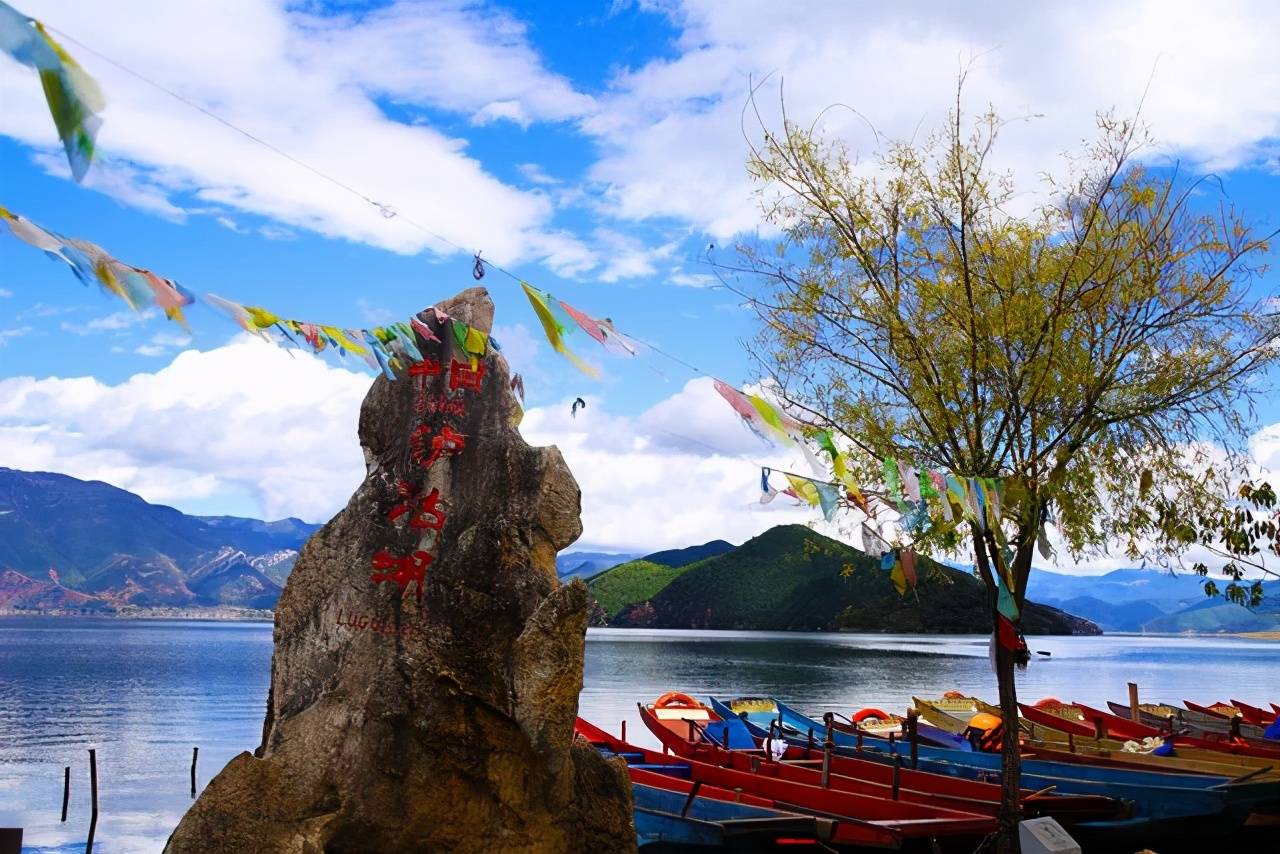 云南农村的一种怪树,一个人能扛下8根,是制造飞机模型的良材1