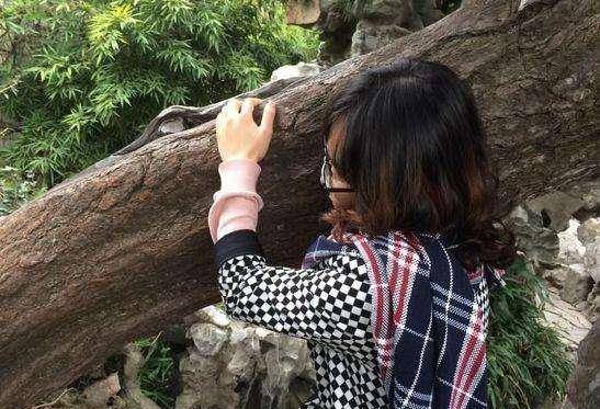 云南农村的一种怪树,一个人能扛下8根,是制造飞机模型的良材3