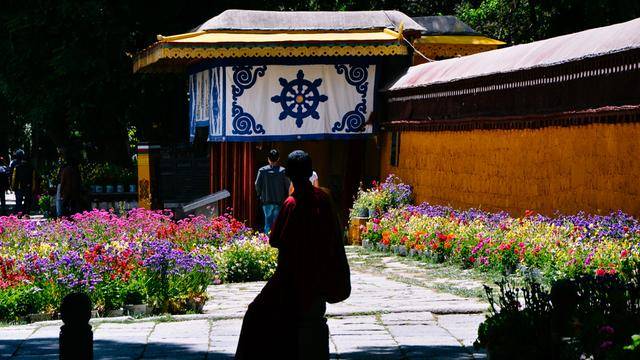 如果你感觉到缺氧，就来拉萨这个地方，2