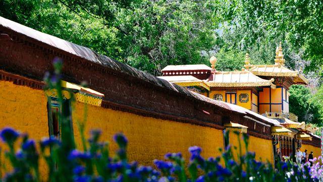 如果你感觉到缺氧，就来拉萨这个地方，5