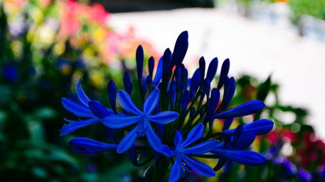 如果你感觉到缺氧，就来拉萨这个地方，11