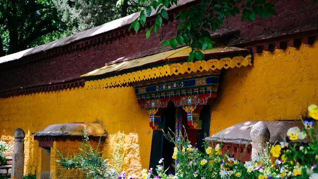 如果你感觉到缺氧，就来拉萨这个地方，16