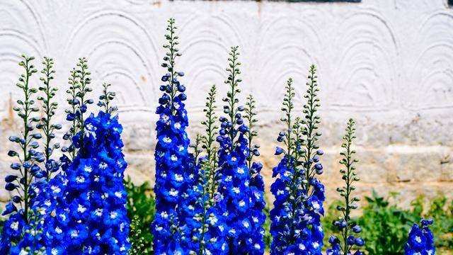 如果你感觉到缺氧，就来拉萨这个地方，20