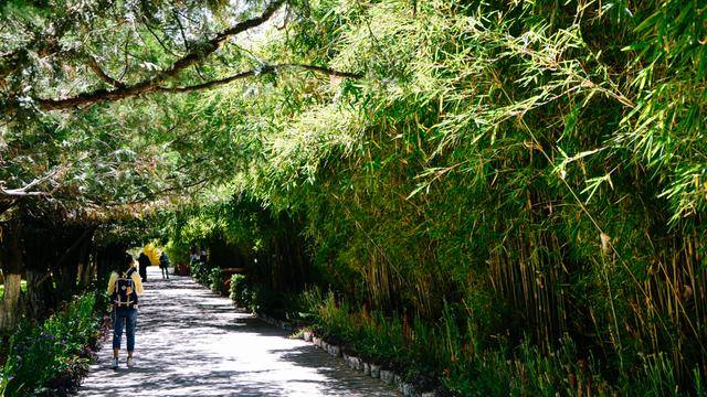 如果你感觉到缺氧，就来拉萨这个地方，22