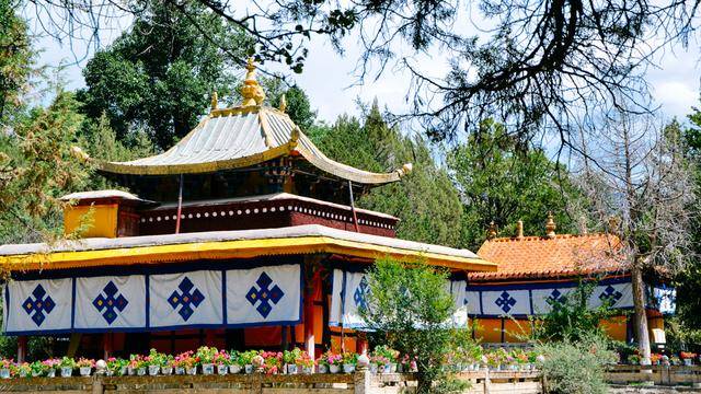 如果你感觉到缺氧，就来拉萨这个地方，27