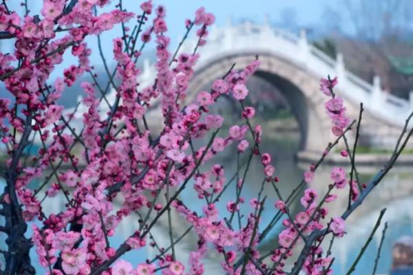 扬州踏青最适合去的地方1