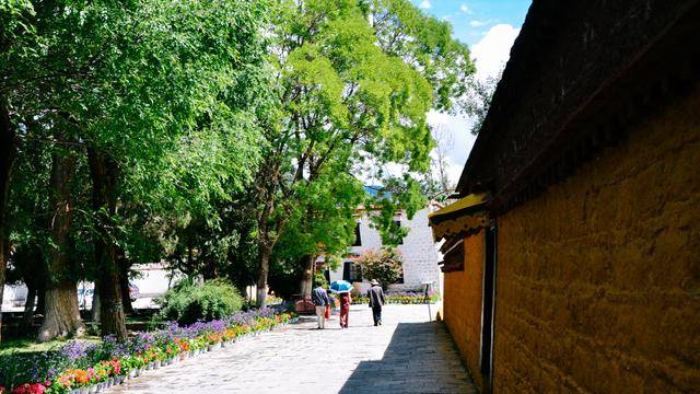 如果你感觉到缺氧，就来拉萨这个地方，31