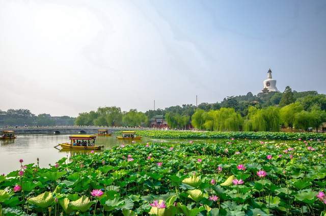 日本著名学者:人到40岁开始变老,是时候准备养老了1