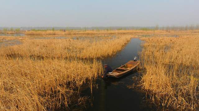 日本著名学者:人到40岁开始变老,是时候准备养老了2