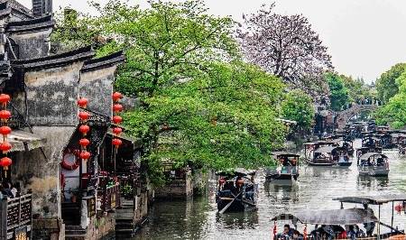 浙江古镇坐落在水网之中,沪杭铁路穿境而过,樱花三月热闹的水乡2