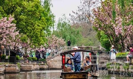 浙江古镇坐落在水网之中,沪杭铁路穿境而过,樱花三月热闹的水乡3