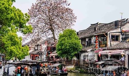 浙江古镇坐落在水网之中,沪杭铁路穿境而过,樱花三月热闹的水乡6